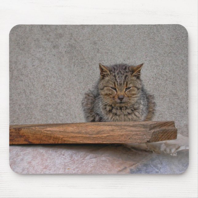 doserande tiger-katt musmatta (Framsidan)