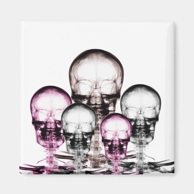 Döskallar av blandade Färg X- Ray Vision Skeletons Magnet (Framsidan)