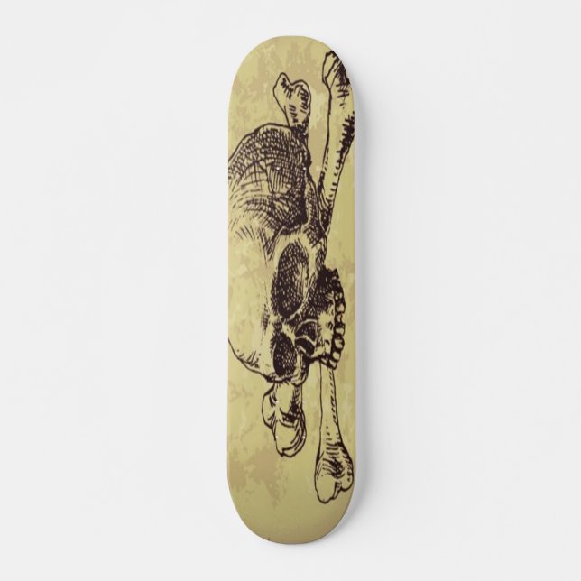 Döskalle skateboard (Framsida)