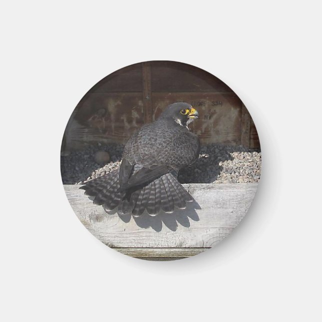 Dot.ca Magnet (Framsidan)