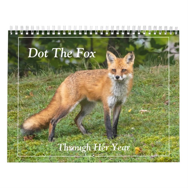 Dot the Fox Kalender (Omslag)