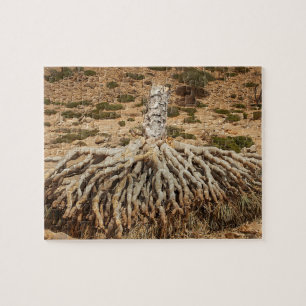 Dött drakeblodträd, Socotra, Yemen Pussel