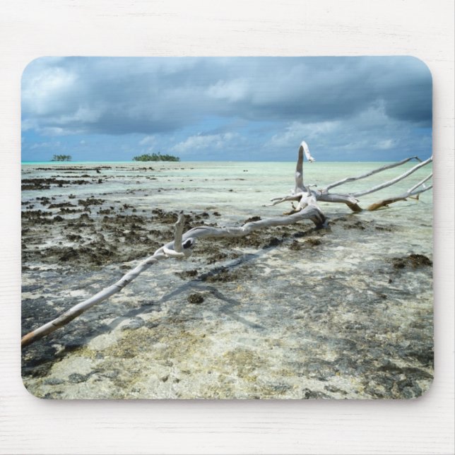 Dött trä i den Stillahavs- mousepaden Musmatta (Framsidan)