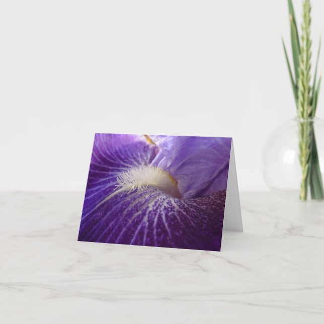 Dotter för ny dagträdgårdNotecard- Iris 'av Kort (Framsida)