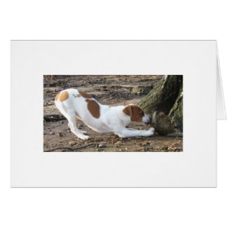 Dottie på lek hälsningskort