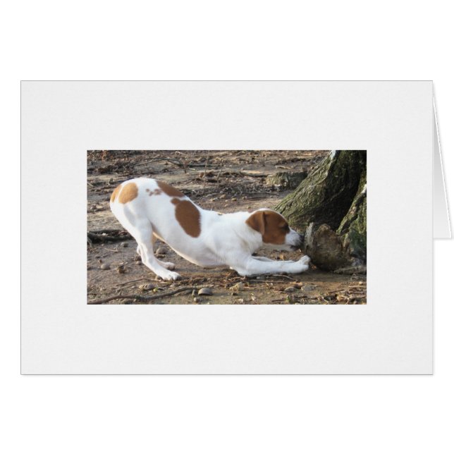 Dottie på lek hälsningskort (Framsidan Horizontal)