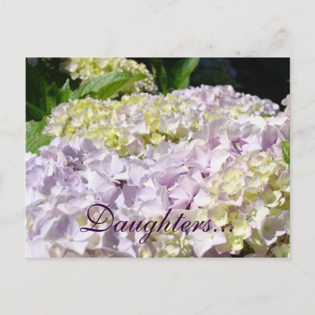 Döttrars vykort Lavendel Hortensia Blommor (Framsida)