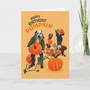 Dotty Hund Dalmatien Birthday Pumpkin Greeting Car Kort