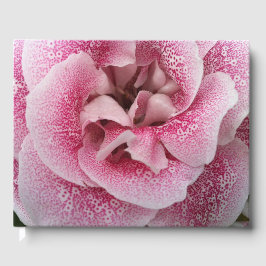 Dotty om dig gästböcker