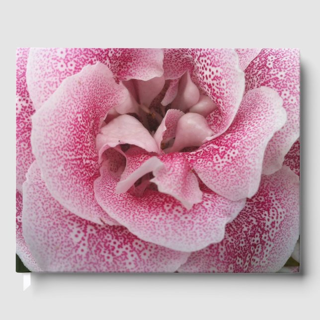 Dotty om dig gästböcker (Framsida)