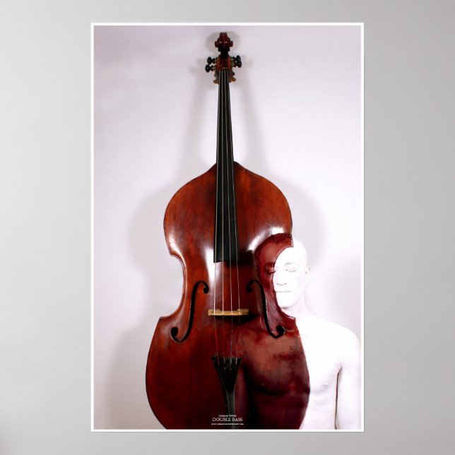 Double Bass by Johannes Stötter Poster (Framsidan)