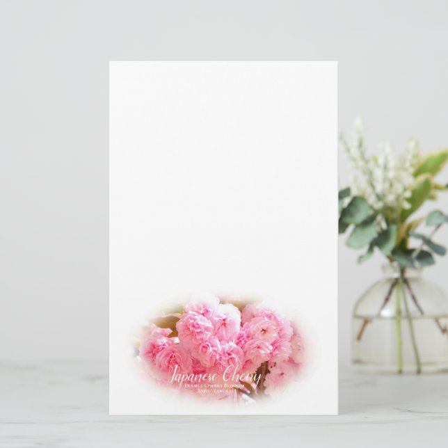 Double Cherry Blossom: Sato-zakura Brevpapper (Stående Fram)