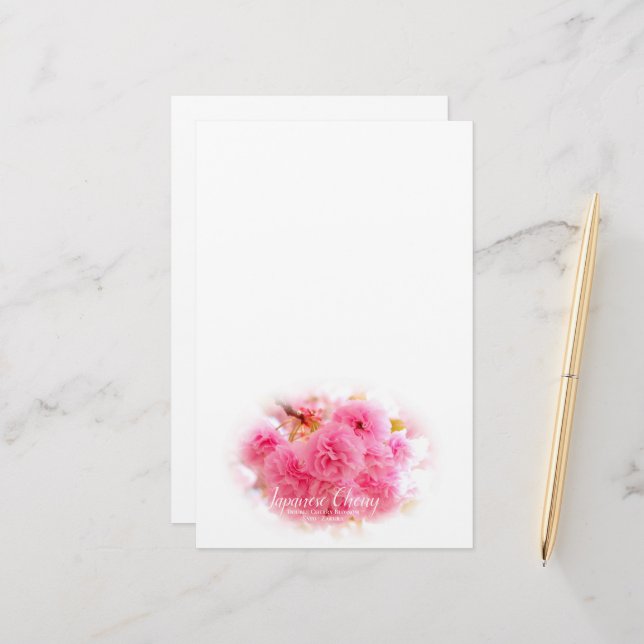 Double Cherry Blossom: Sato-zakura Brevpapper (Fram/Back In Situ)