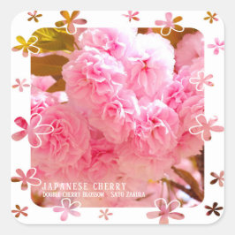 Double Cherry Blossom: Sato-zakura Fyrkantigt Klistermärke