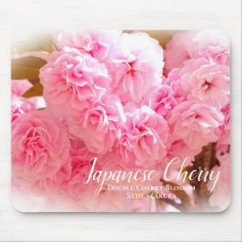Double Cherry Blossom: Sato-zakura Musmatta
