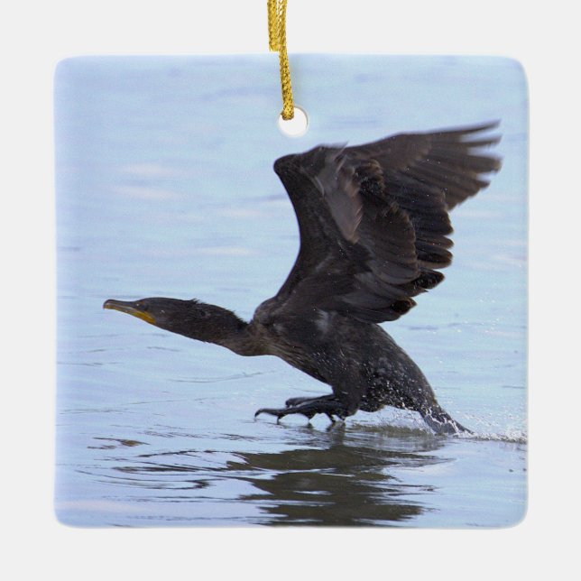 Double-crested Cormorant Ornament  (Framsida)
