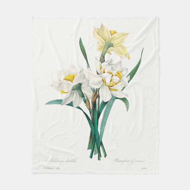 Double Daffodil,  Pierre-Joseph Redouté, 1827 Fleecefilt (Framsidan)