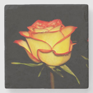 Double Red and Yellow Rose Bloom Stenunderlägg