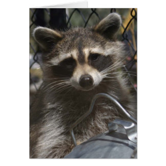 Doudlar 759 hälsningskort