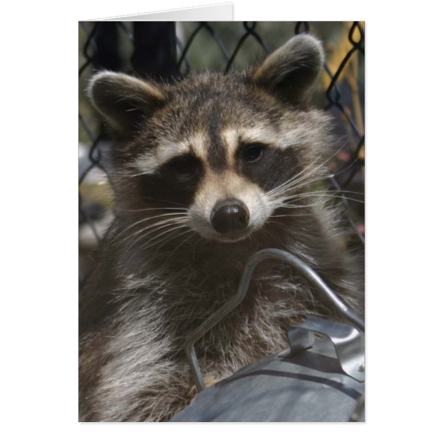 Doudlar 759 hälsningskort (Framsidan)