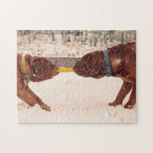 Douge De Bordeaux Tug of Krig Pussel