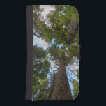 Douglas Fir träd canopy Galaxy S4 Plånboksfodral<br><div class="desc">Gary Luhm / DanitaDelimont.com| Förenta staterna,  Nordamerika,  Washington| USA,  delstaten Washington. Tittar upp i den gamla växten Douglas Fir (Pseudotsuga menziesii) träd canopy,  Mt. Rainier National Park.</div>
