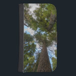 Douglas Fir träd canopy Galaxy S4 Plånboksfodral<br><div class="desc">Gary Luhm / DanitaDelimont.com| Förenta staterna,  Nordamerika,  Washington| USA,  delstaten Washington. Tittar upp i den gamla växten Douglas Fir (Pseudotsuga menziesii) träd canopy,  Mt. Rainier National Park.</div>
