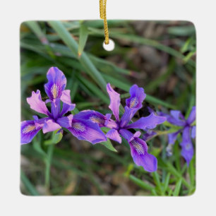 Douglas Iris Ornament