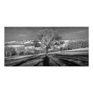Doulting Backe Panorama Fototryck