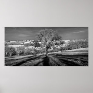 Doulting Backe Panorama Poster