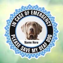 Döv Hund Safety Alert First Responder Photo Namn