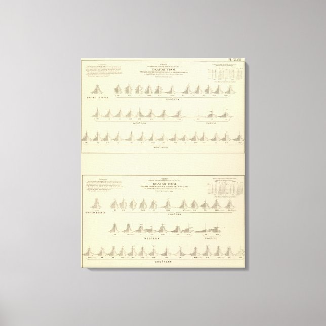 Döv och matematik, USA:s statistiska litografi Canvastryck (Framsida)