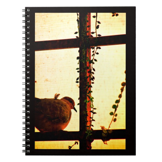 Dova i en damm storm anteckningsbok (Framsidan)