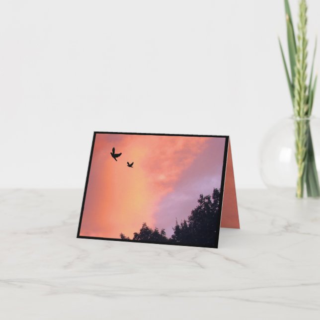 Dovar vid Sunset Tack (Framsida)