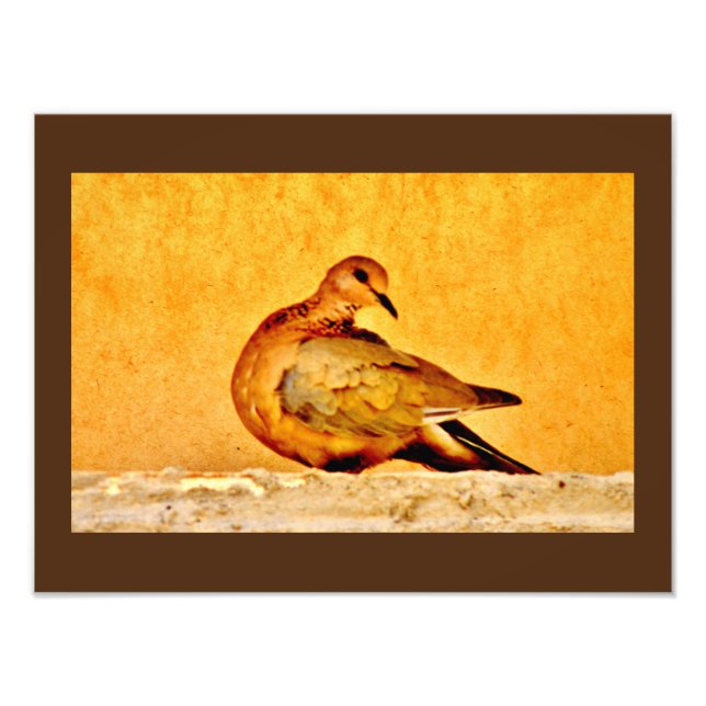 Dove Beauty Fototryck (Framsidan)