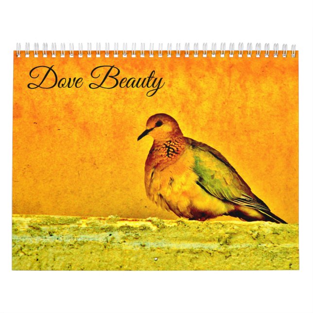 Dove Beauty Kalender (Omslag)