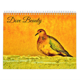 Dove Beauty Kalender