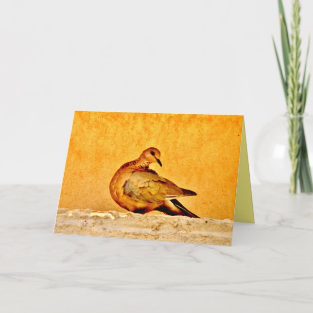 Dove Beauty Kort (Framsida)