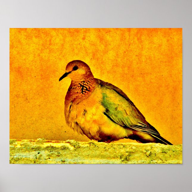 Dove Beauty Poster (Framsidan)