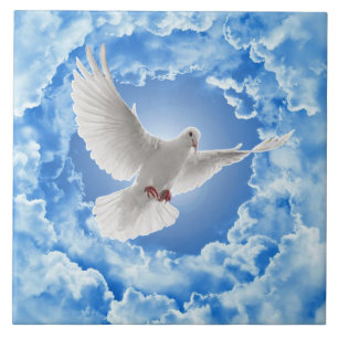 Dove Ceramic Tile Kakelplatta
