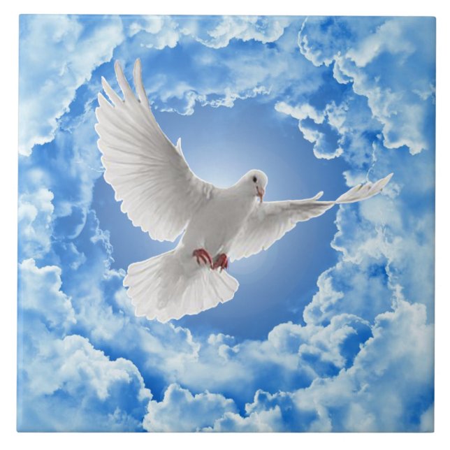 Dove Ceramic Tile Kakelplatta (Framsidan)