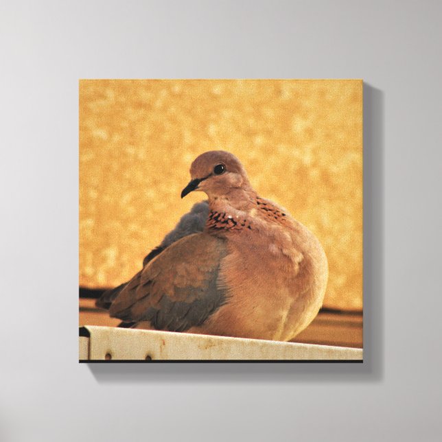 Dove Elegance Canvastryck (Framsida)