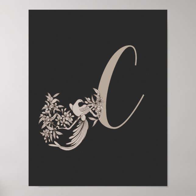 Dove Elegant Monogram Initial C Poster (Framsidan)