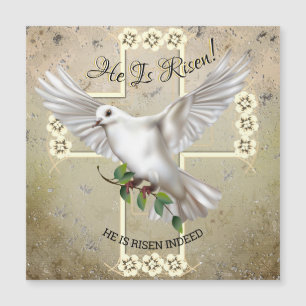Dove för Peace Påsk