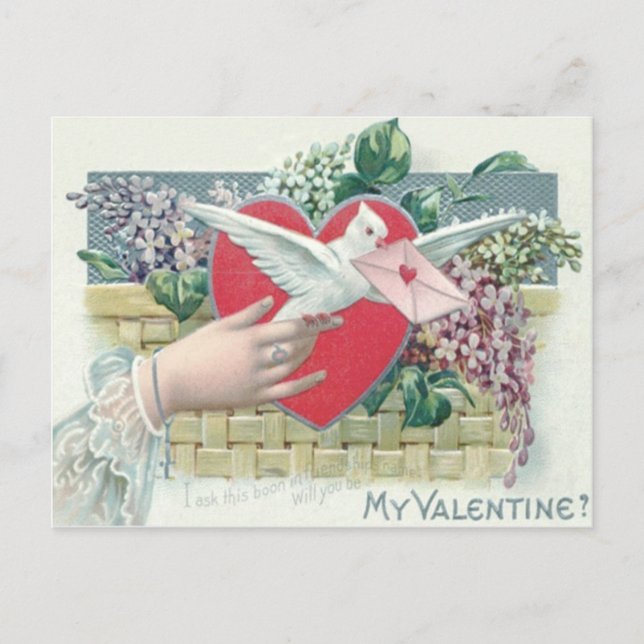 Dove Heart Glömmig Valentine Helg Vykort (Framsida)