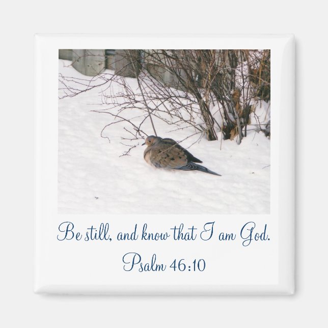 Dove i Snö-fällmagnet Magnet (Framsidan)