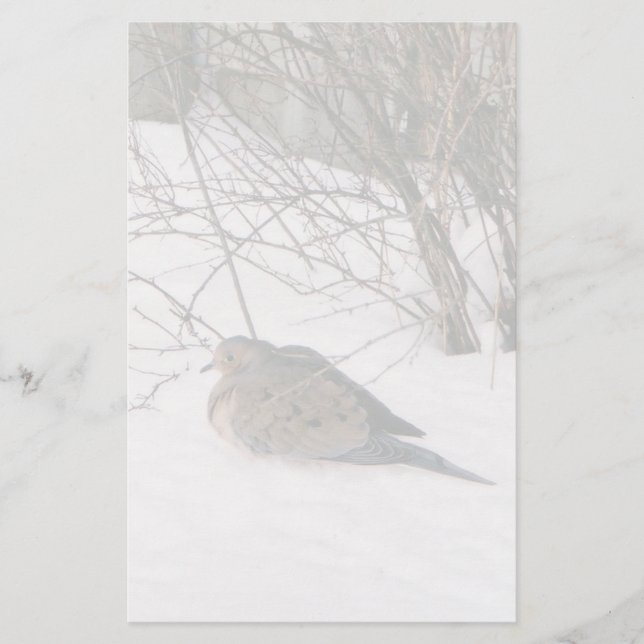 Dove i Snö-stationeriet Brevpapper (Framsida)