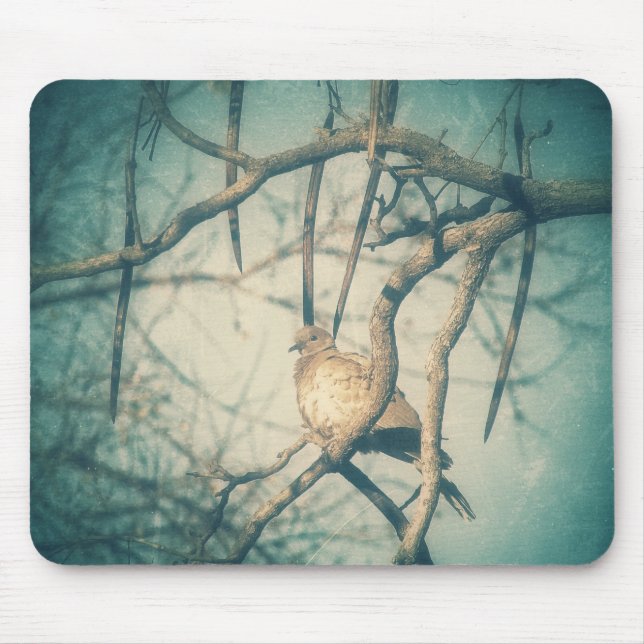 Dove Musmatta (Framsidan)