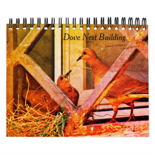 Dove Nest Byggnads Kalender