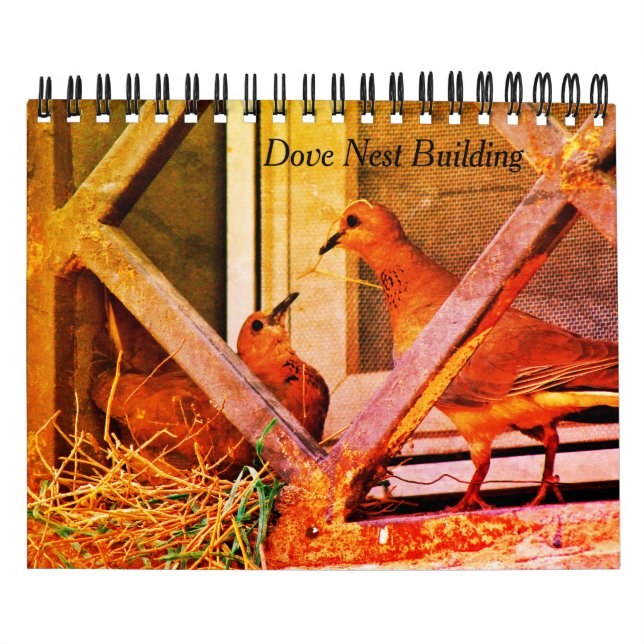 Dove Nest Byggnads Kalender (Omslag)